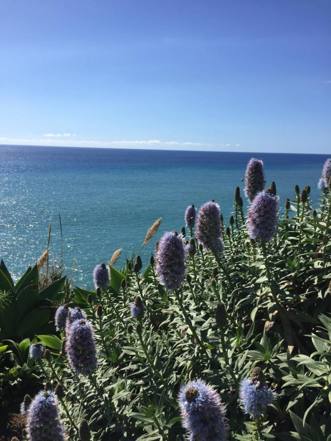 Calheta Ocean View Apartments 1 - Air Condition Estreito Da Calheta Екстериор снимка